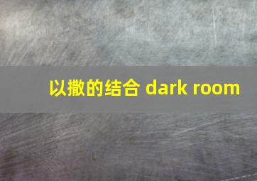 以撒的结合 dark room